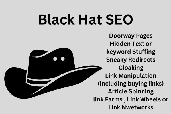 Black Hat SEO Services in pune