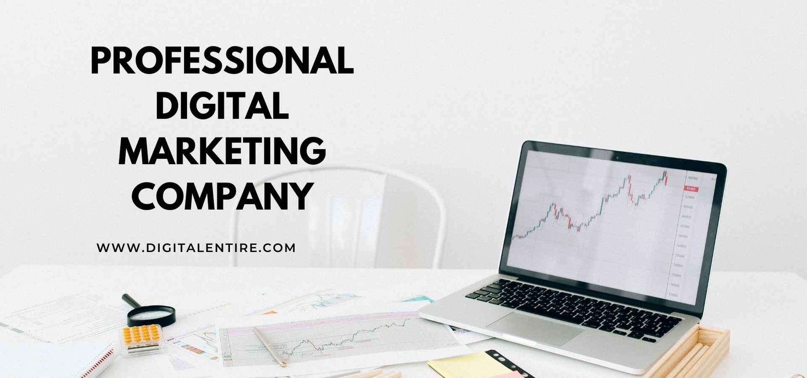 Professional Digital Marketing Company