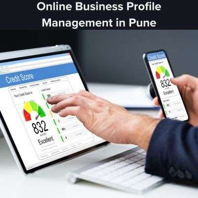 Online Business Profile Management in Pune