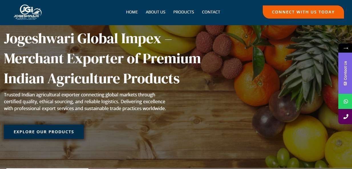 Import & Export Business Website Development and Design Company in Pune Import & Export Business Website Development and Design Company in Pune