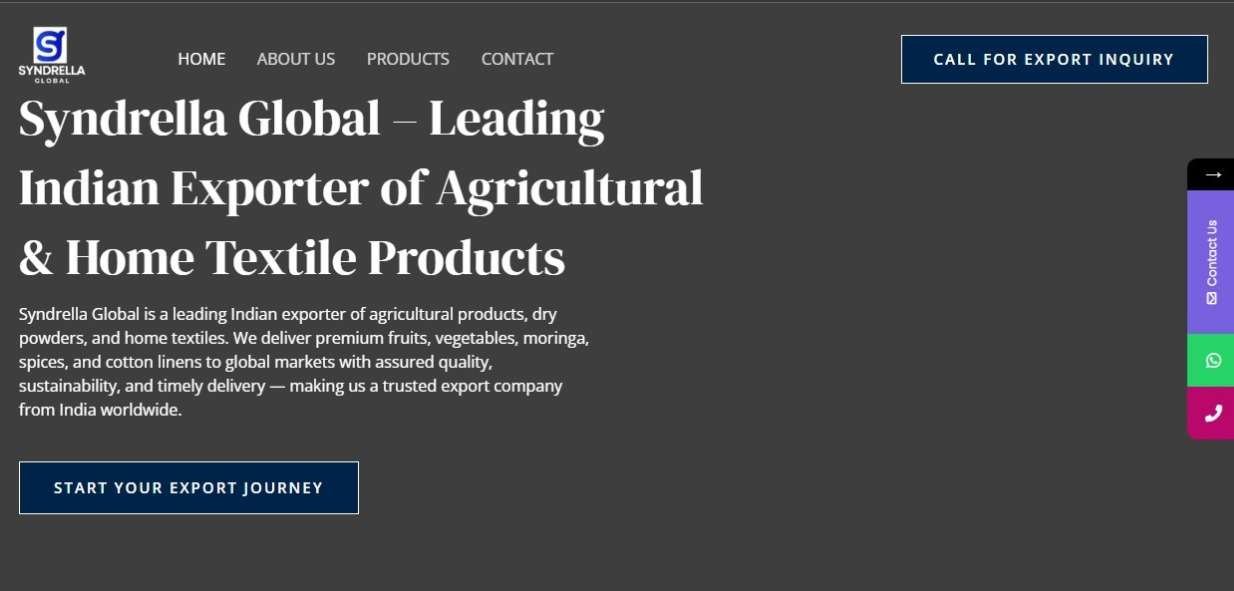 Import & Export Business Website Development and Design Company in Pune Import & Export Business Website Development and Design Company in Pune