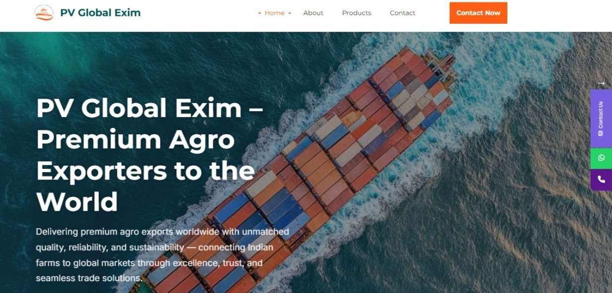 Import & Export Business Website Development and Design Company in Pune Import & Export Business Website Development and Design Company in Pune