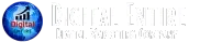 Digital Entire - Digital Marketing Company in pune