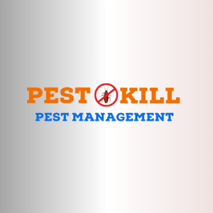 Digital Marketing For Multiple Industries And Business