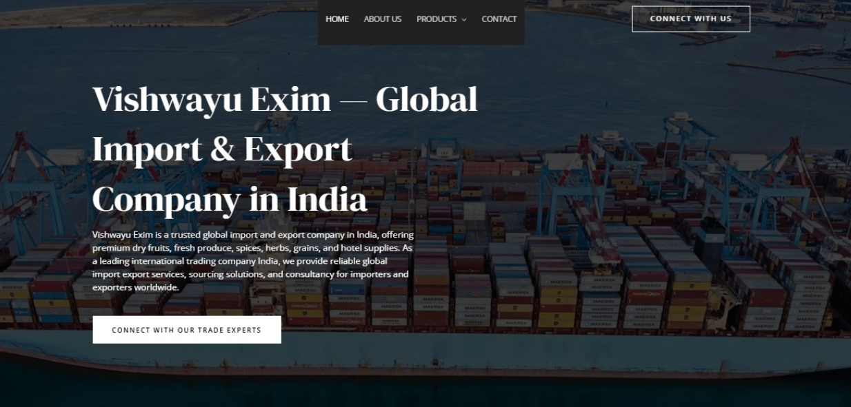 Import & Export Business Website Development and Design Company in Pune